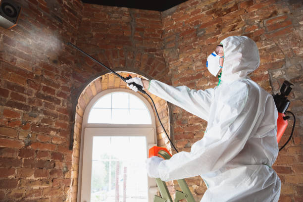 Best Biohazard Mold Removal in Redstone Arsen, AL